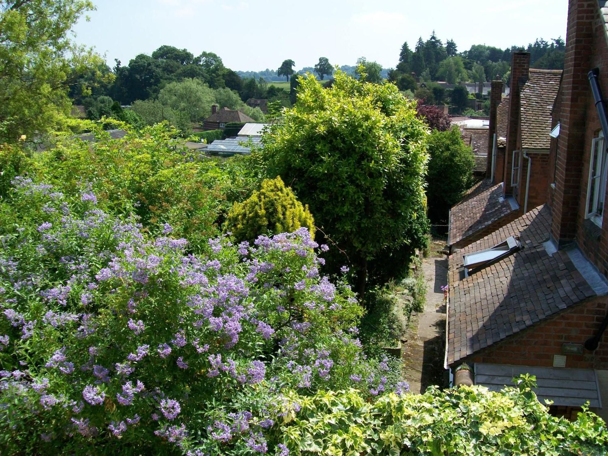 Frog Cottage, Ludlow - A Charming Townhouse For 4 Exteriör bild
